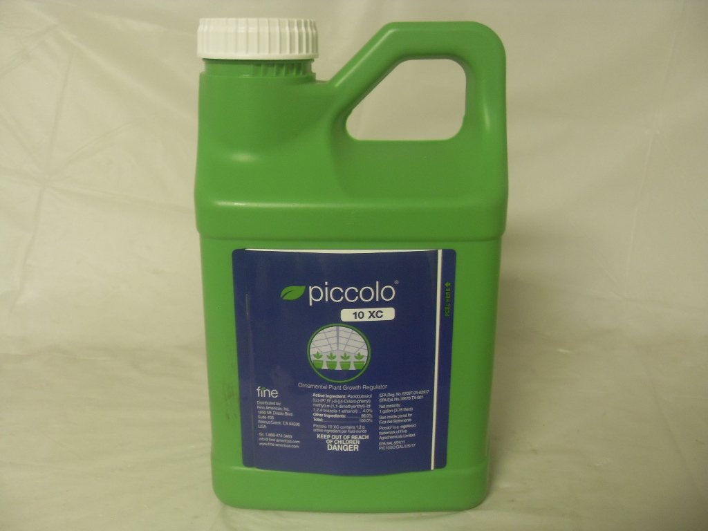 Piccolo 10XC PGR - Qt - Gallon