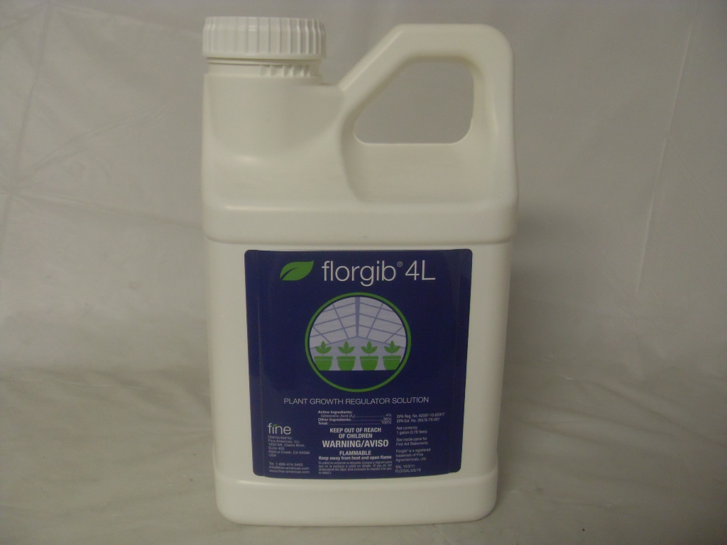 Florgib 4L Generic ProGibb T&O PGR - Qt - Gal