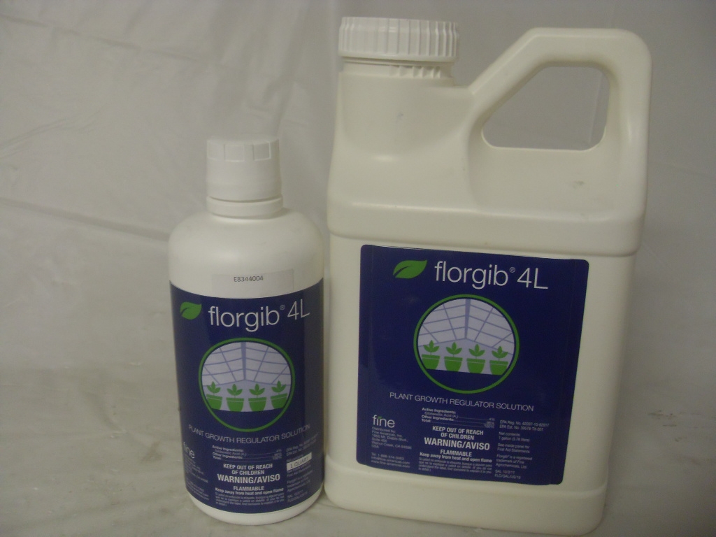 Florgib 4L Generic ProGibb T&O PGR - Qt - Gal