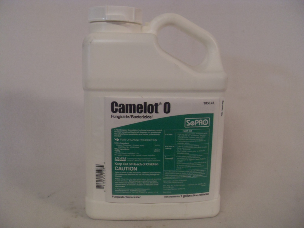 Camelot O Fungicide Bactericide - Gallon