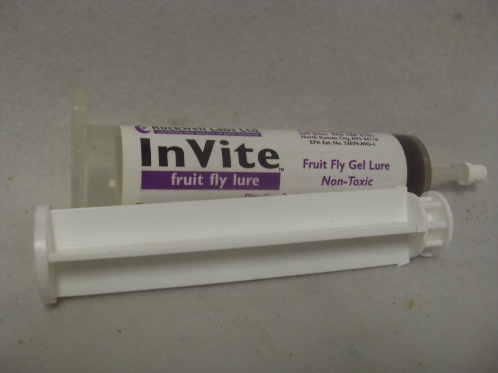 Invite Fruit Flies Lure Attractant 35 Gram Syringe