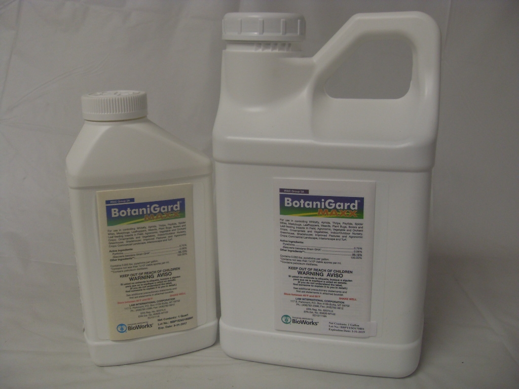 BotaniGard MAXX Mycoinsecticide Pyrethrins - Qt - Gallon