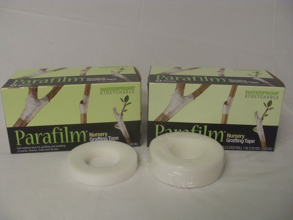 Parafilm Grafting Tape - 0.5" - 1" Wide