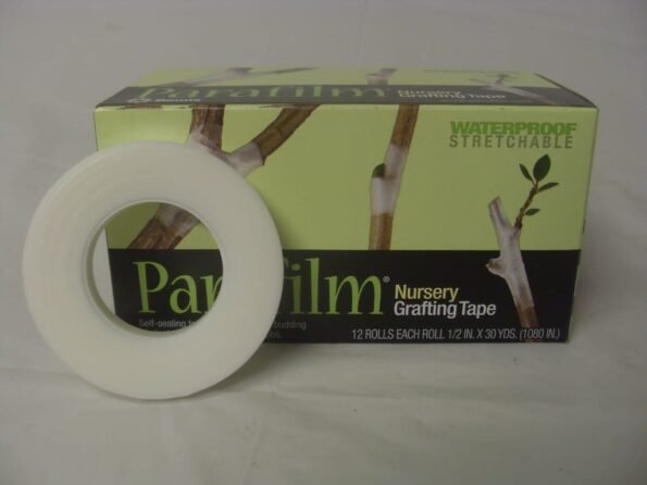 Parafilm Grafting Tape - 0.5" - 1" Wide