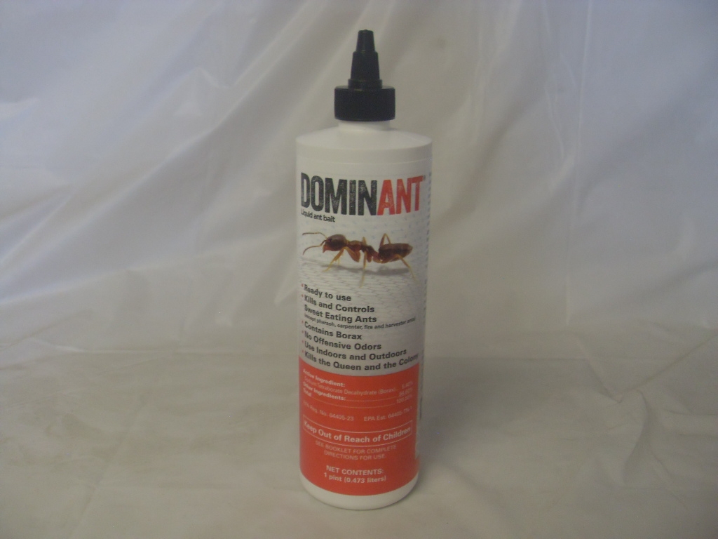 DominAnt Liquid Ant Bait - Pt - Gal