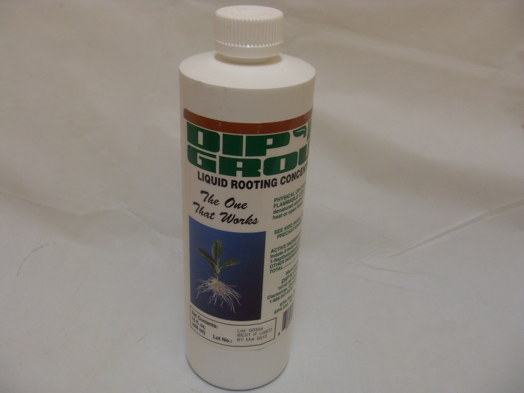 Dip N Grow Rooting Hormone - 16 Oz