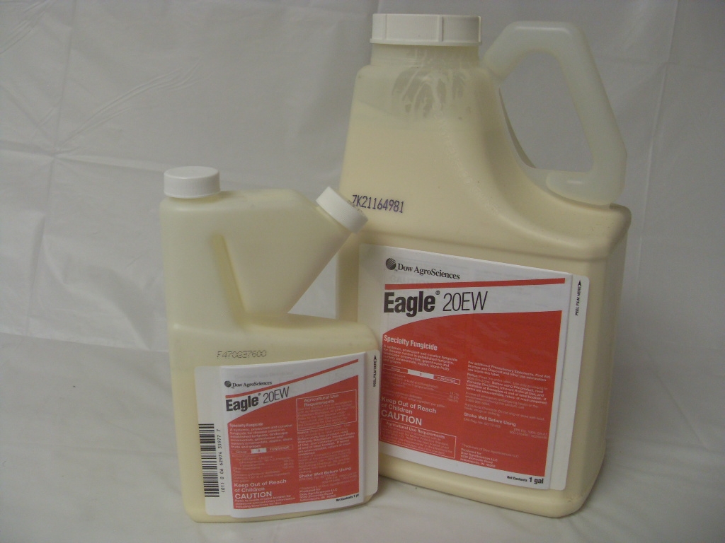 Eagle 20EW Fungicide - Pt - Gallon