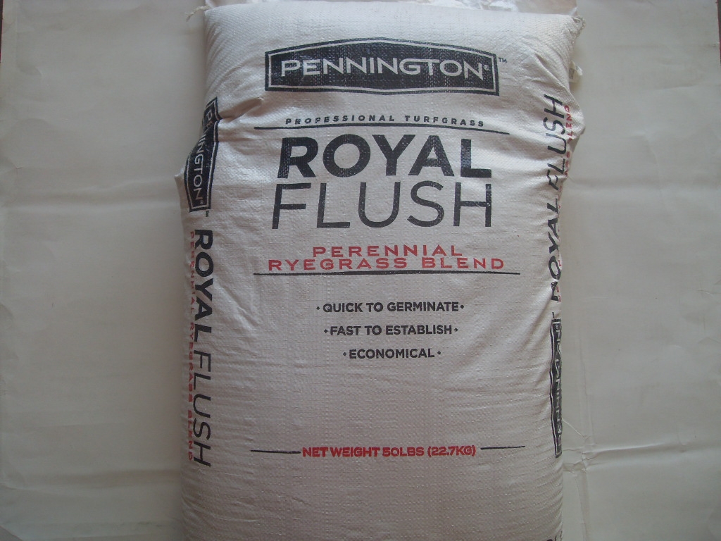 Perennial RyeGrass Seed - 50 Lb