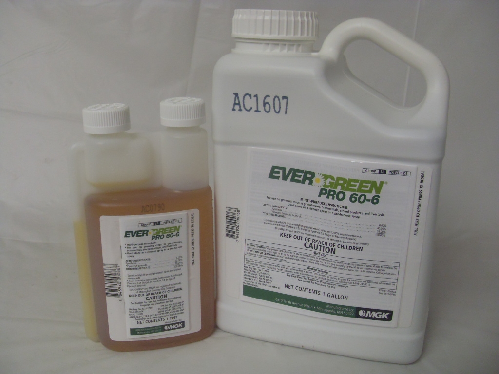 Evergreen Pro 60-6 Pyrethrin Insecticide - Pt - Gallon